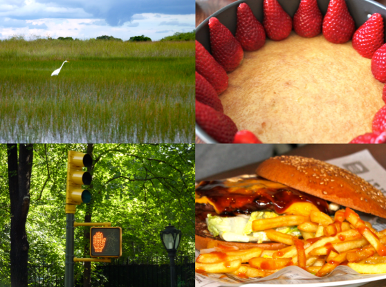 Capture d’écran 2014-06-28 à 08.31.48