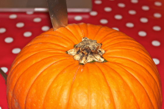 Capture d’écran 2013-10-28 à 22.50.39